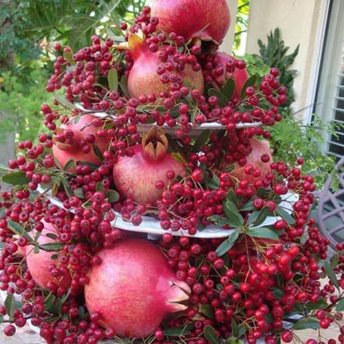 تزیین انار