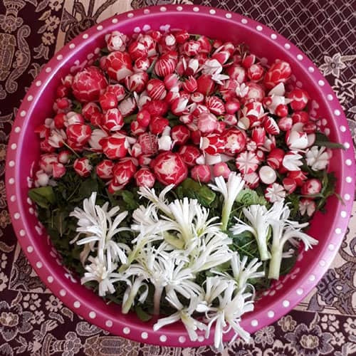تزیین پیازچه و تربچه به شکل کفشدوزک و گل برای عروس