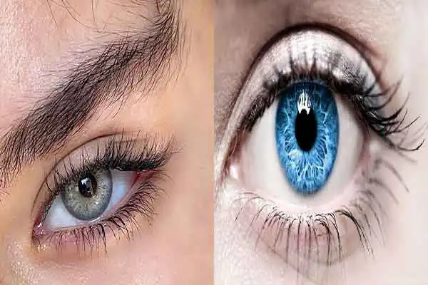 مدل چشم گرگی + جذاب ترین و گیراترین چشم های رنگی و زیبا برای ارتباط قوی