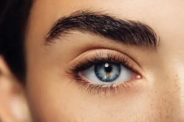 مدل چشم گرگی + جذاب ترین و گیراترین چشم های رنگی و زیبا برای ارتباط قوی