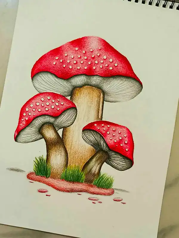 ایده نقاشی با مداد رنگی + زیباترین مدل های ایده نقاشی با مداد رنگی بسیار شیک