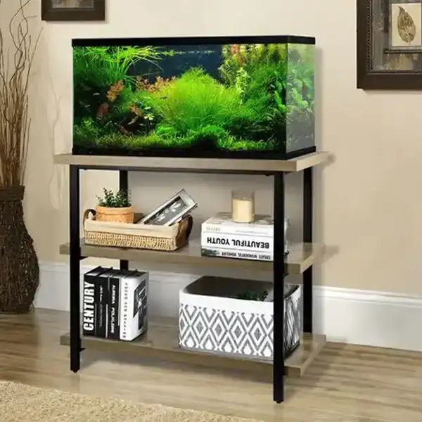مدل آکواریوم لاکچری + جدیدترین آکواریوم لاکچری به عنوان شئ دکوراتیو بسیار خاص