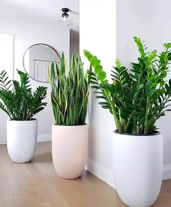مدل گلدان ایستاده + زیباترین گلدان ایستاده به عنوان شئ دکوراتیو برای دکوراسیون شیک