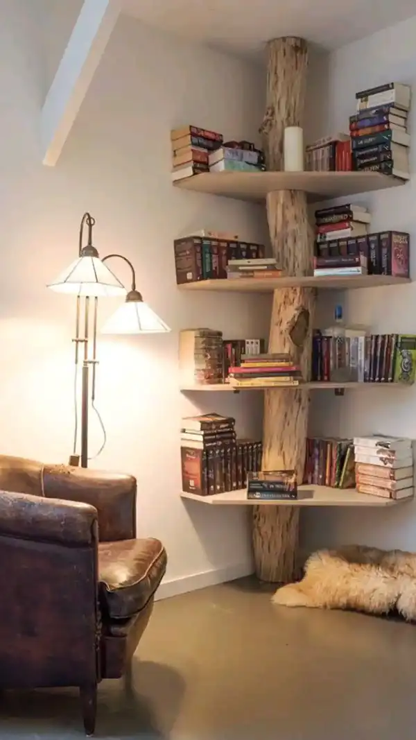 مدل کتابخانه چوبی + زیباترین مدل کتابخانه چوبی مدرن برای کتاب های شما در پذیرایی و اتاق خواب
