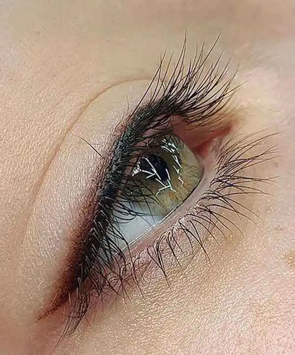 مدل تاتو خط چشم + جدیدترین تکنیک های طبیعی برای تاتو خط چشم که کمترین ریسک را دارند