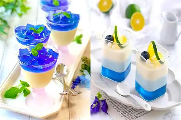 مدل ژله برای جشن آب + زیباترین مدل ژله غیر تکراری برای جشن آب فرزندان مدرسه ای