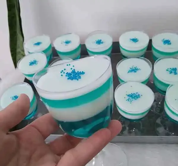 مدل ژله برای جشن آب + زیباترین مدل ژله غیر تکراری برای جشن آب فرزندان مدرسه ای