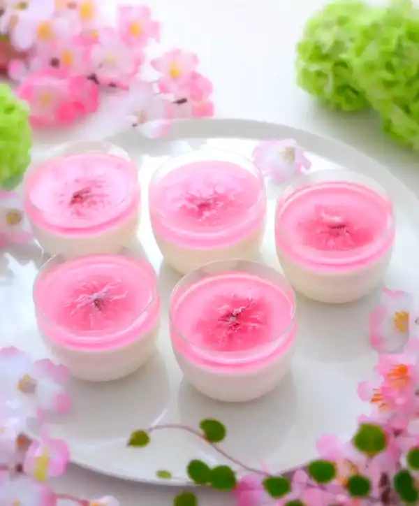 مدل ژله تک نفره + جذاب ترین ژله تک نفره هیجان انگیز و خوشمزه برای مهمانی و تولد