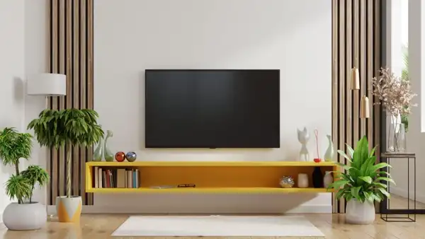 مدل دکوراسیون پشت تلویزیون + زیباترین ایده ها برای مدل دکوراسیون شیک و لاکچری پشت تلویزیون